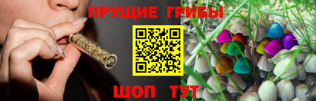 дарнет шоп  Вход с VPN  Чебоксары  Галлюциногенные грибы MAGIC MUSHROOMS 